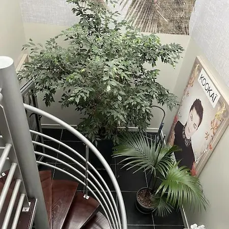 Maison De 250 M2 Avec A Villa Arcachon